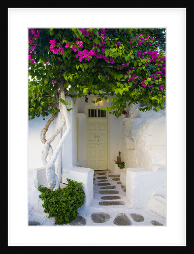 Storefront with Colorful Bougainvillea by Anonymous