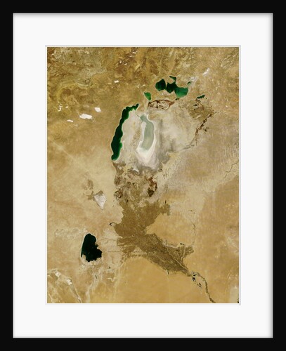Low Earth Orbit View of the Aral Sea by Anonymous