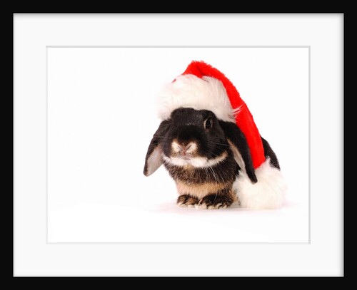 Rabbit in a Santa Hat by Anonymous