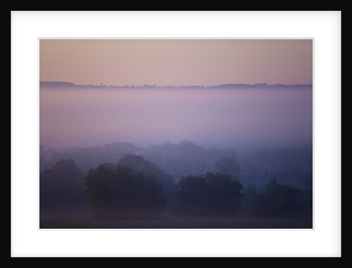Early Morning Mist by Anonymous