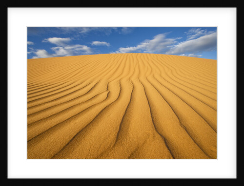 Sand Dune in the Kalahari Desert by Anonymous