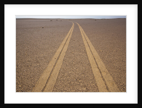 Tire Tracks on the Skeleton Coast by Anonymous