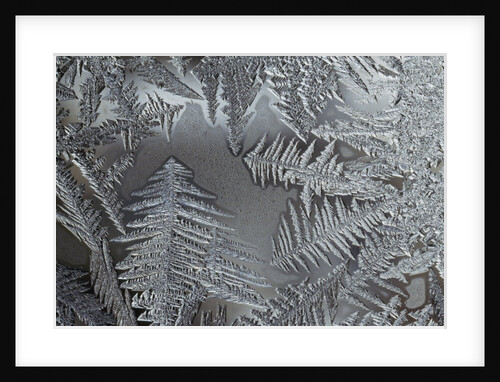 Ice crystals by Anonymous