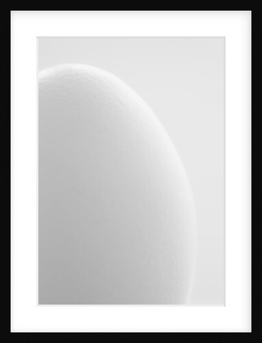White egg by Anonymous
