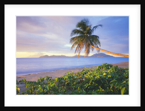 Pinney's Beach, Island of Nevis by Anonymous