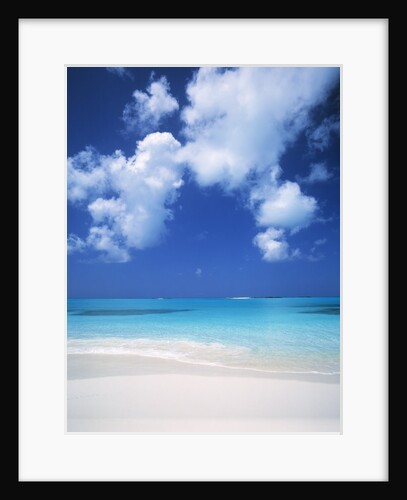 Exuma Island Beach by Anonymous