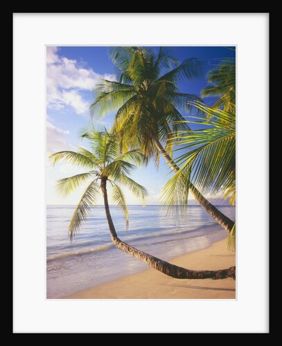 Pigeon Point Beach, Island of Tobago by Anonymous