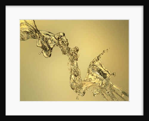 Abstract Shape Formed by Splashing Water by Anonymous