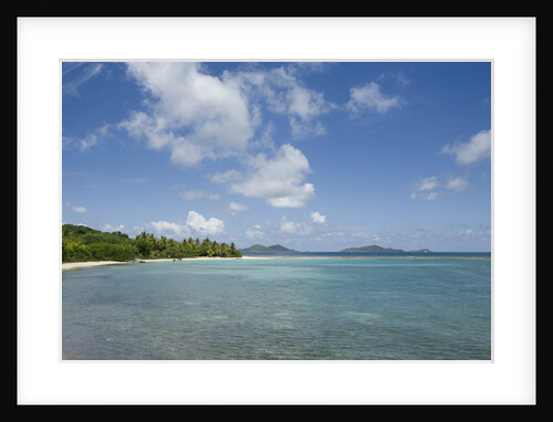 Beach at Well Bay, Beef Island, Tortola, British Virgin Islands by Anonymous