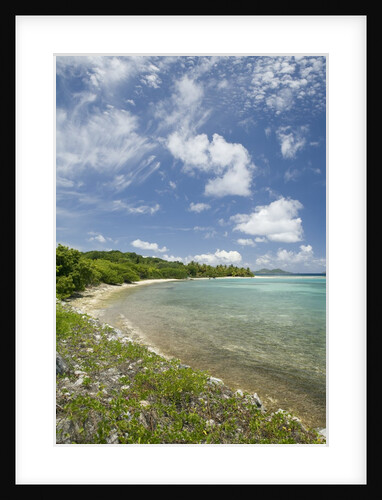 Beach at Well Bay, Beef Island, Tortola, British Virgin Islands by Anonymous