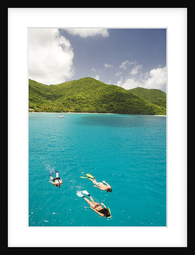 Snorkeling in Hawksnest Bay at St. John Island by Anonymous
