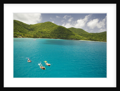 Snorkeling in Hawksnest Bay at St. John Island by Anonymous