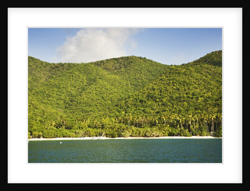 Cinnamon Bay by Anonymous