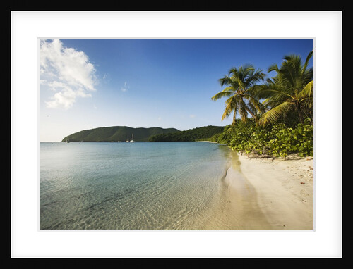 Maho Bay Beach by Anonymous
