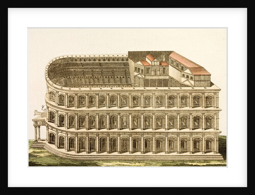 Print of Theater of Marcellus by Anonymous