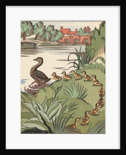 Book Illustration of Mother Duck and Ducklings by Clifford Webb