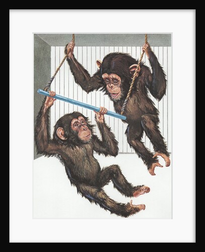 Illustration of Two Chimps Playing by Anonymous
