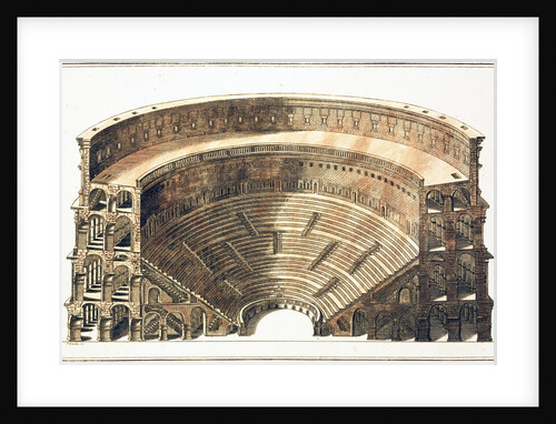 Engraving of the Colosseum in Rome by Anonymous