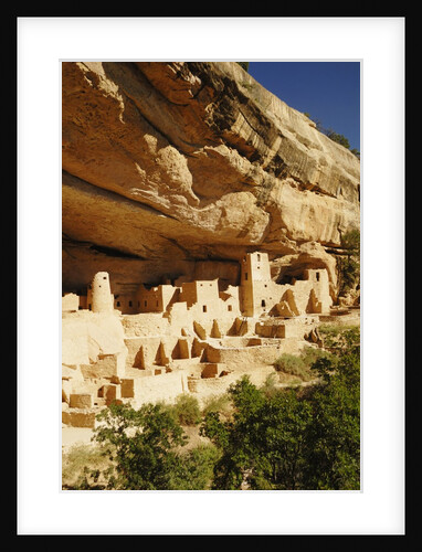 Cliff Palace in Mesa Verde National Park by Anonymous