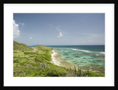 Countryside and Ocean on St. Croix by Anonymous