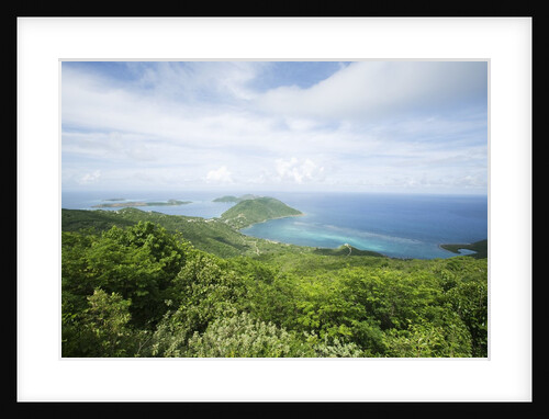 Hilltop and Ocean on Virgin Gorda by Anonymous