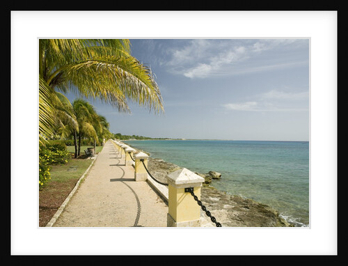 Waterfront Path on Beach by Anonymous
