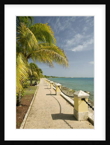 Waterfront Path on Beach by Anonymous