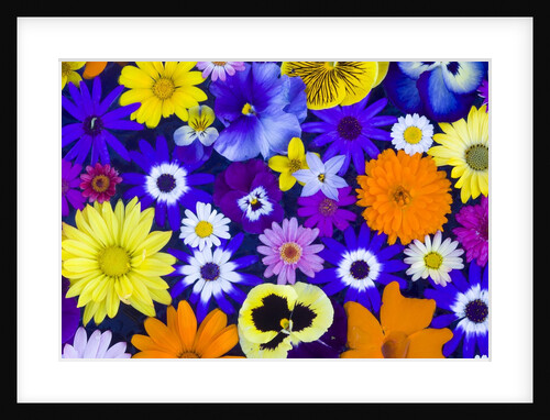 Flowers in Blues and Yellows by Anonymous