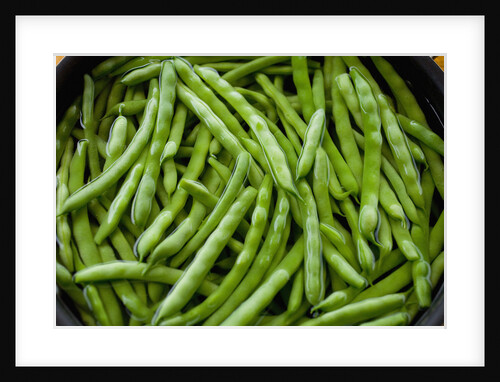 Organic String Beans in Water by Anonymous