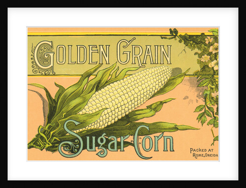 Golden Grain Sugar Corn Product Label by Anonymous