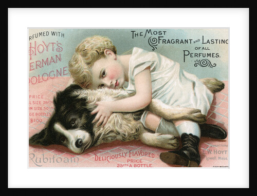 Hoyt's German Cologne Trade Card by Anonymous