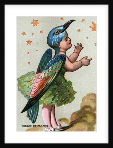 Illustration of Child Dressed in Bird of Paradise Costume by Anonymous