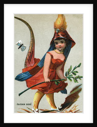Illustration of Child Dressed in Dark-Throated Golden Pheasant Costume by Anonymous