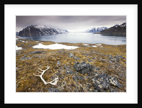 Reindeer Antler and Tinayra Bukta by Anonymous