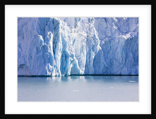 Magdalena Glacier by Anonymous