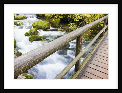 Footbridge over Creek in Autumn by Anonymous
