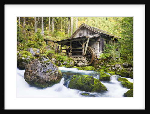 Small Wood Watermill and Brook by Anonymous