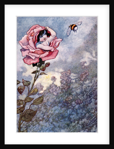 Illustration of Child Hiding in Rose by Charles Robinson