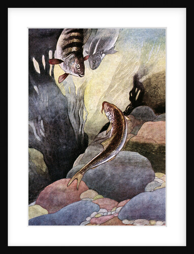 Illustration of Magical Fish by Charles Robinson