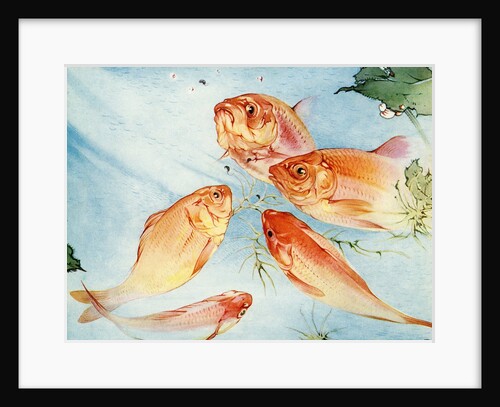 Illustration of Koi by Edward Julius Detmold