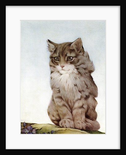 Illustration of Kitten by Edward Julius Detmold