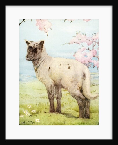 Illustration of Lamb by Edward Julius Detmold