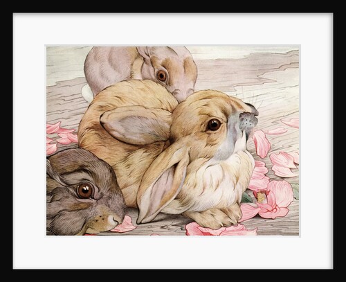 Illustration of Rabbits by Edward Julius Detmold