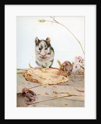Illustration of Mice by Edward Julius Detmold