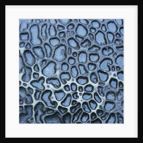 Pattern in Wet Stone by Anonymous