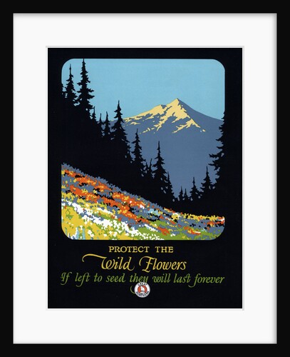 Protect the Wild Flowers Poster by Anonymous