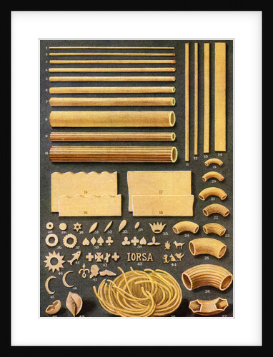 Illustration of Fifty Different Varieties of Pasta by Anonymous