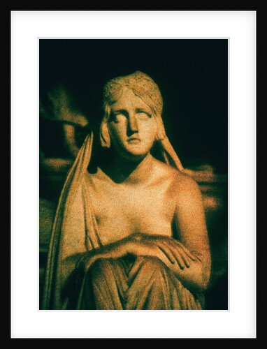Roman Statue by Andre Burian