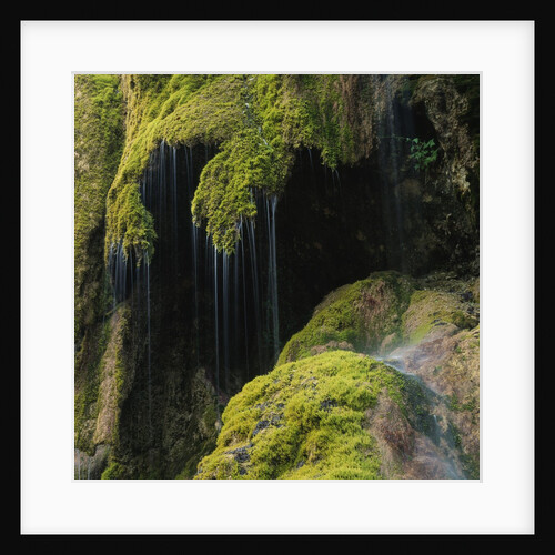 Water Running down Vegetation Covered Rocks by Anonymous