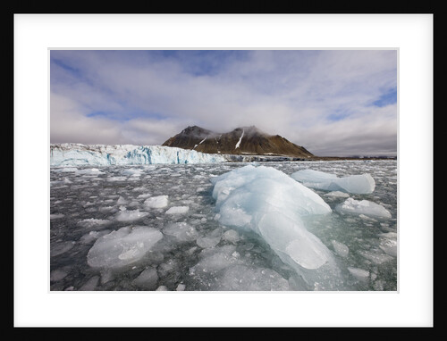Icebergs Floating in Hornsund Fjord Near Hans Glacier by Anonymous
